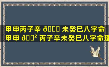 甲申丙子辛 🍁 未癸巳八字命「甲申 🌲 丙子辛未癸巳八字命理详解」